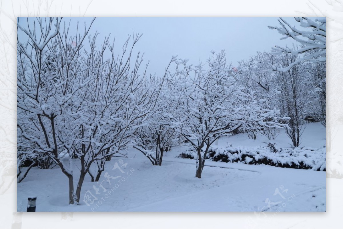 冬日雪景