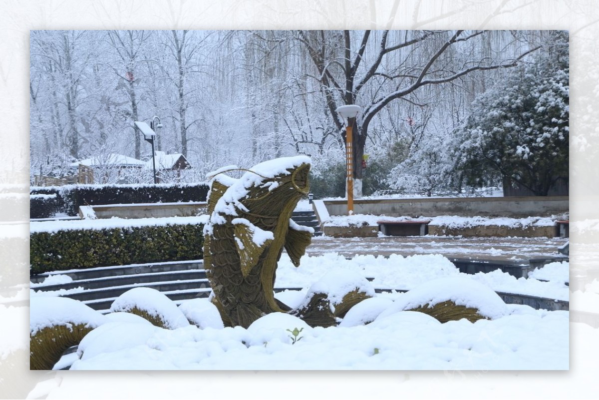 冬雪地景