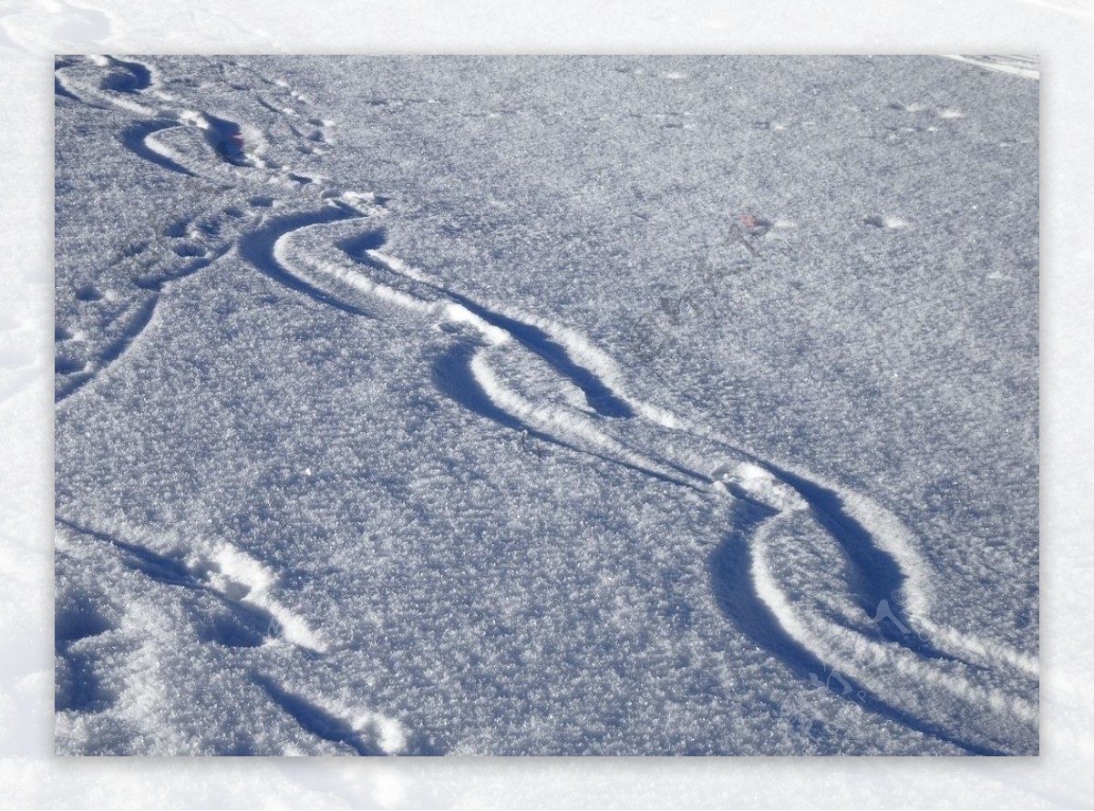 雪地