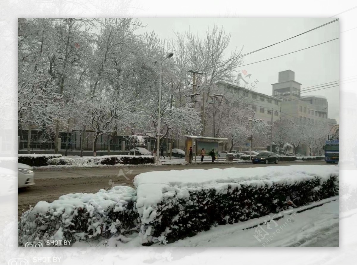 雪雪景雪花雪树雾