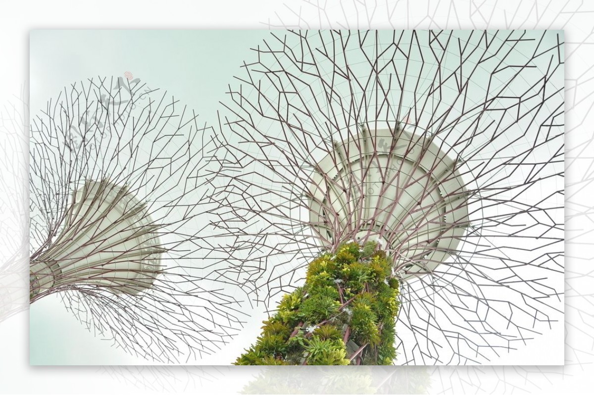 新加坡滨海花园天空树