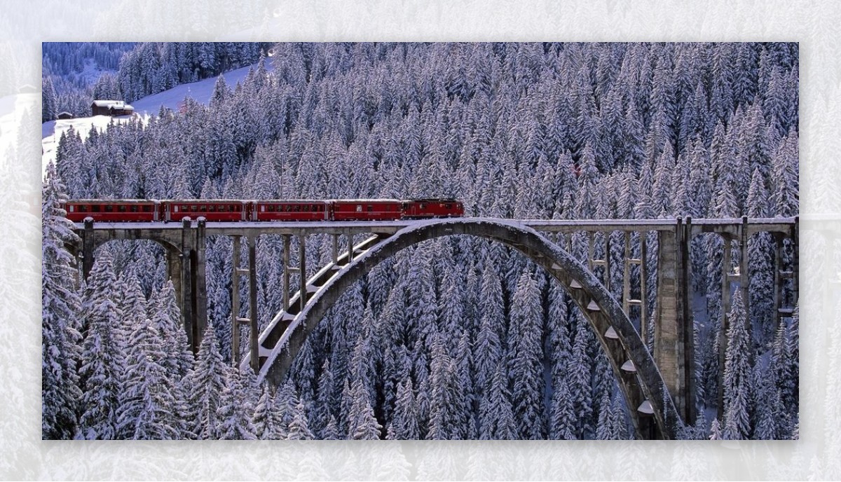 森林火车大桥风景