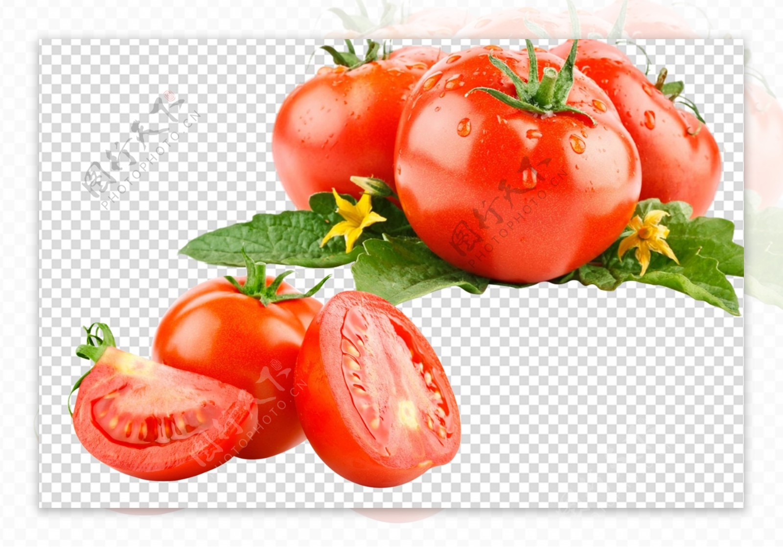 西红柿大西红柿