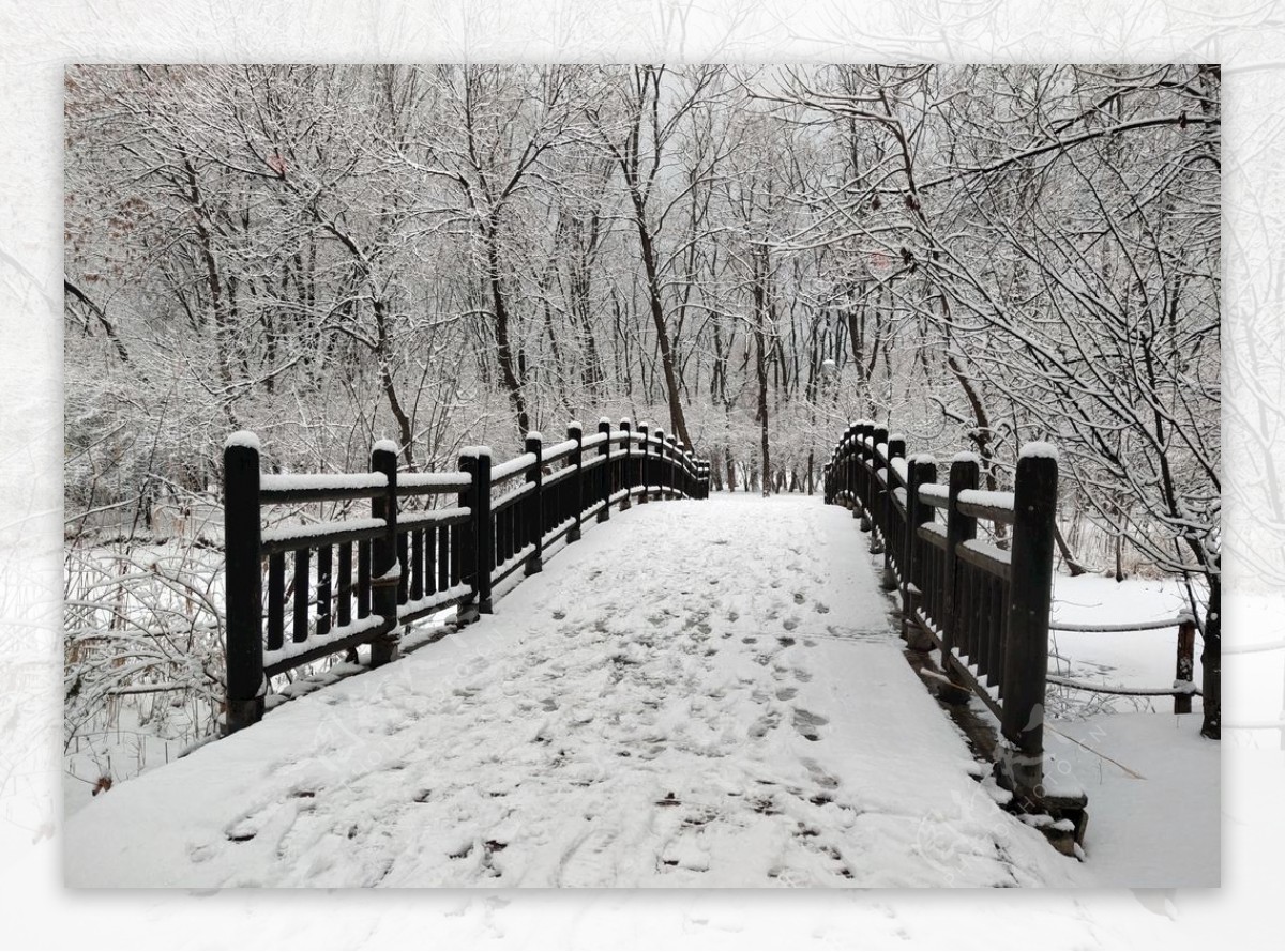 雪中的桥
