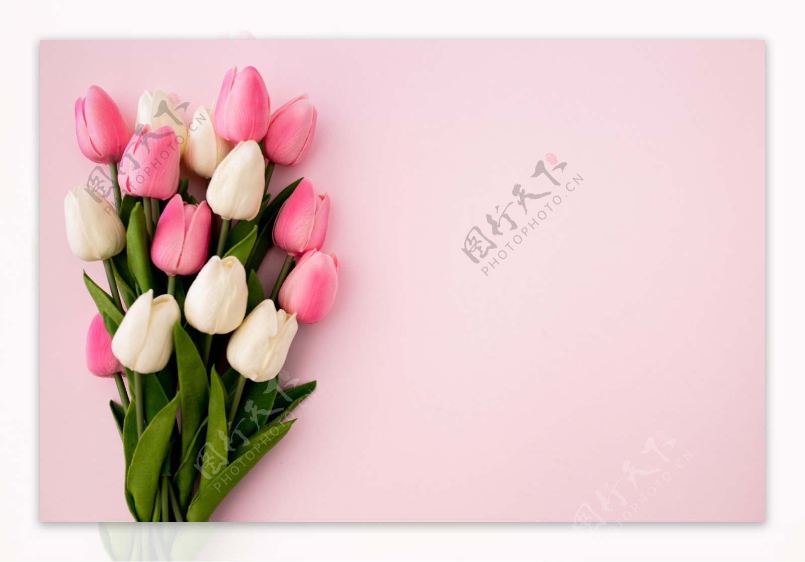免费高清粉色白色郁金香花束