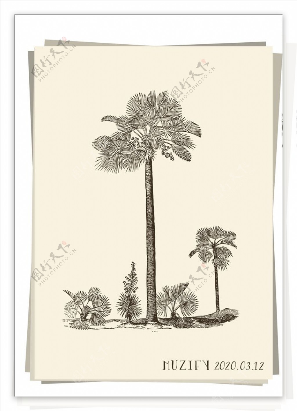 棕榈树手绘稿