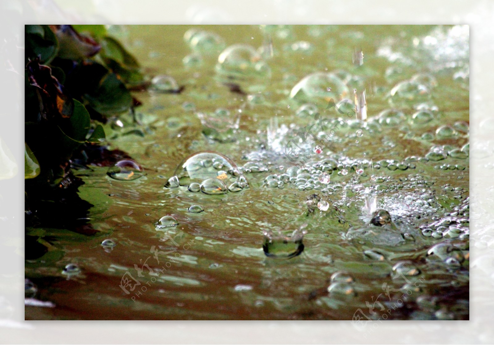 水溅泡沫绿色湿动