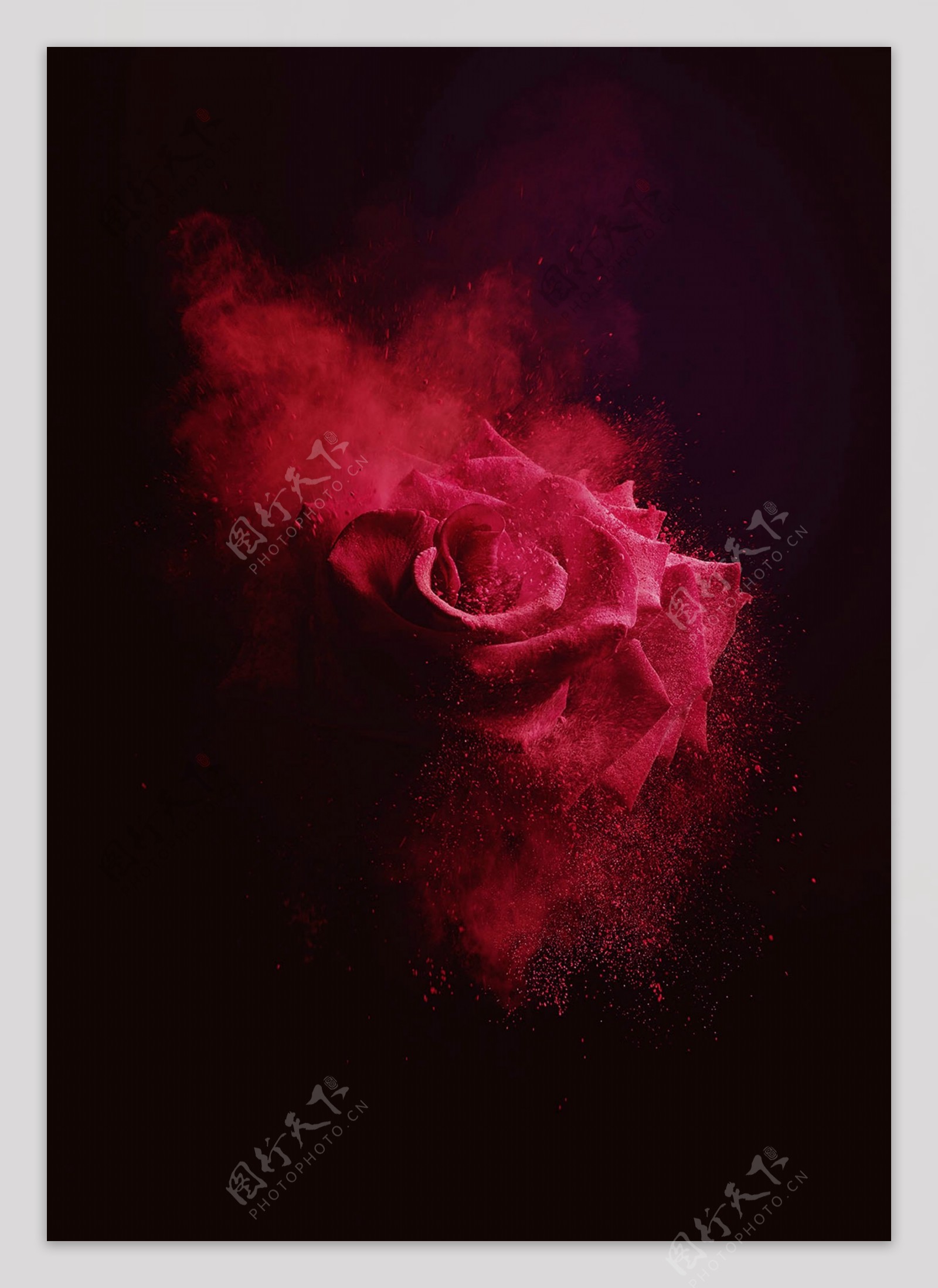 玫瑰花炫酷红色背景素材