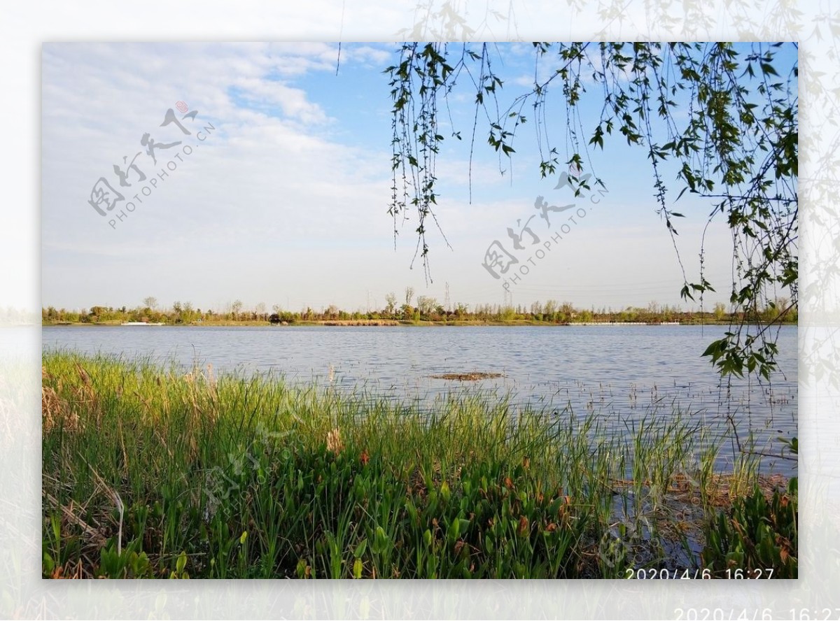 香榭湖湿地