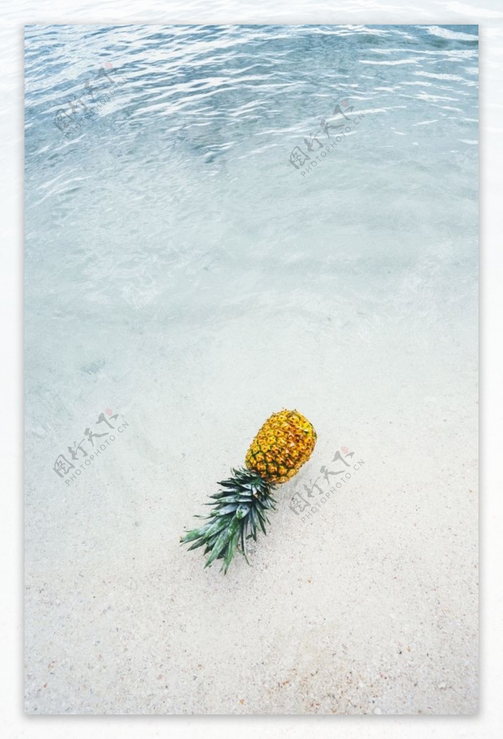 海水中的菠萝