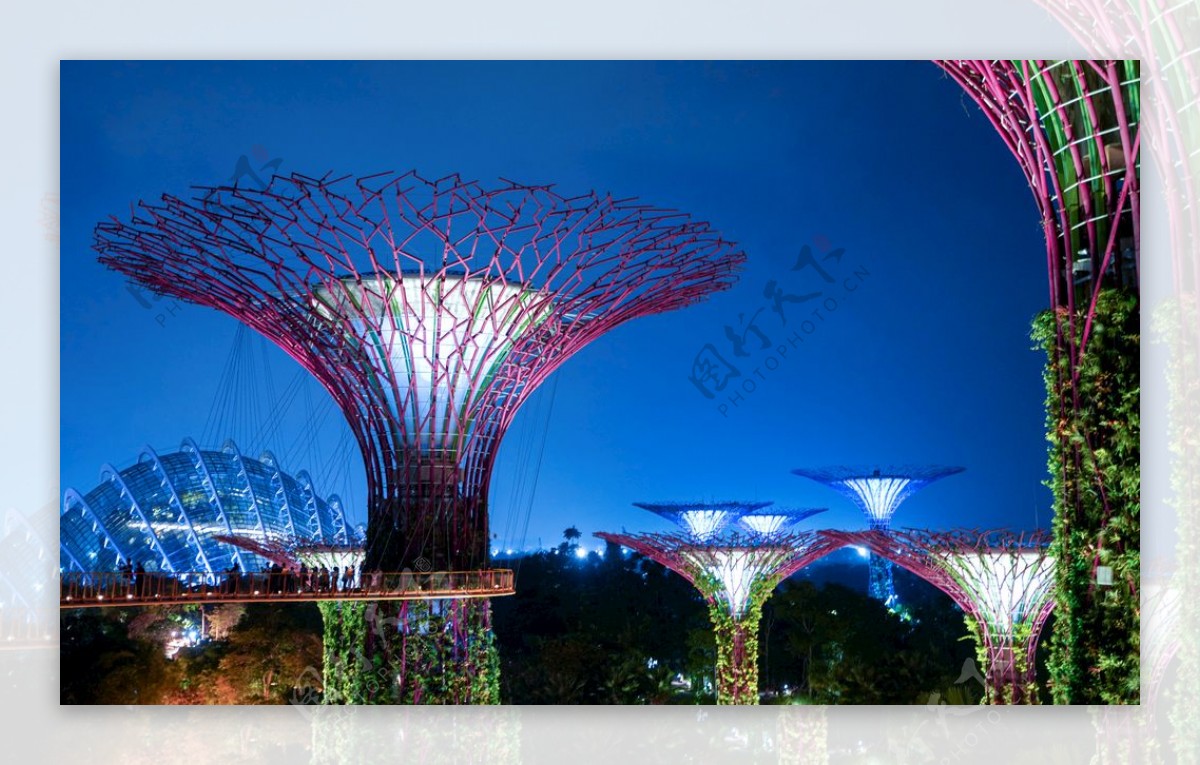 新加坡滨海湾花园擎天大树