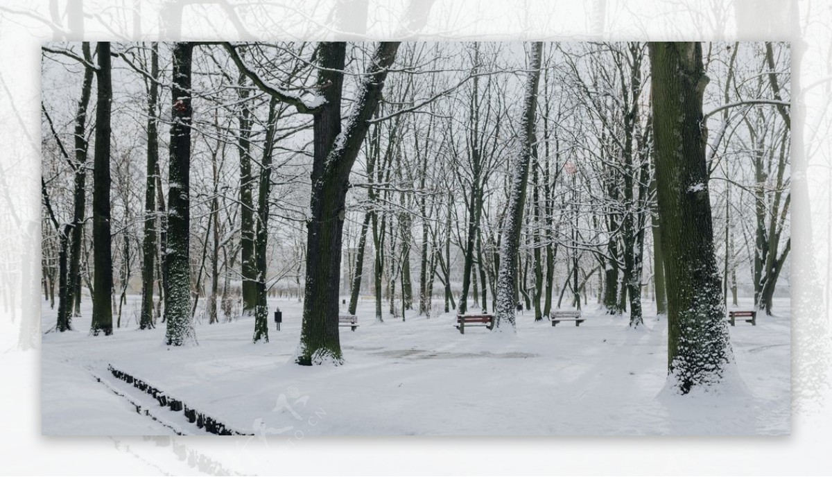 雪景公园雪景唯美