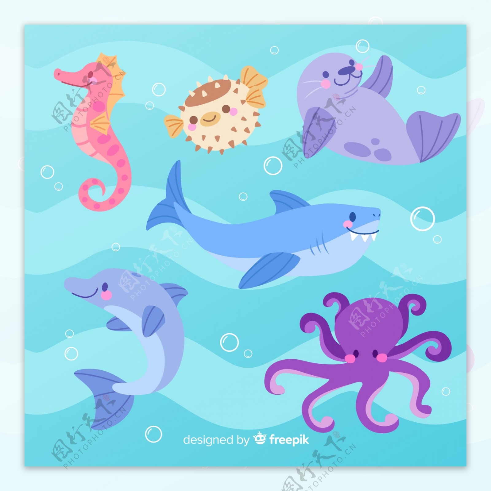 6款可爱海洋动物设计