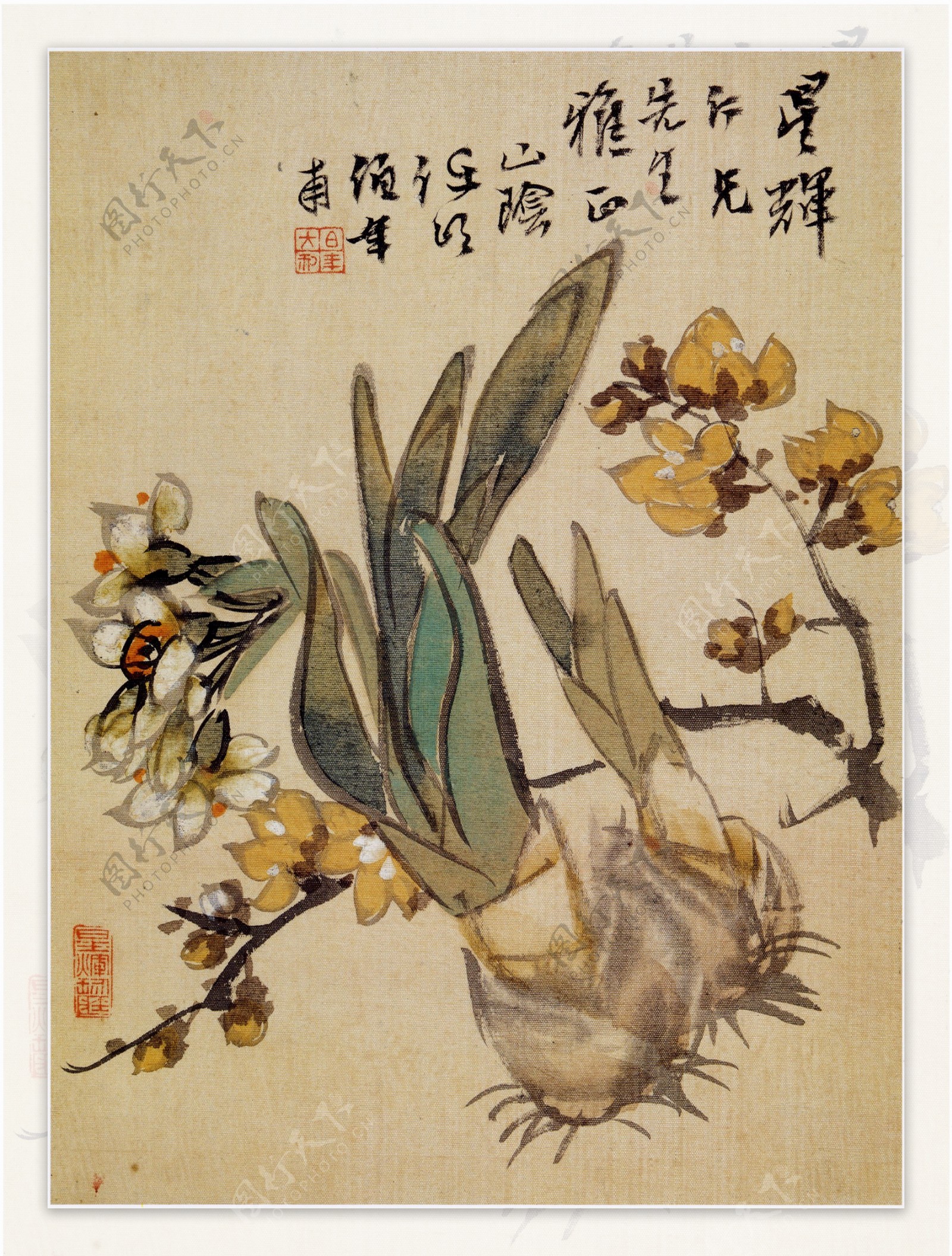 中国风工笔画花鸟图