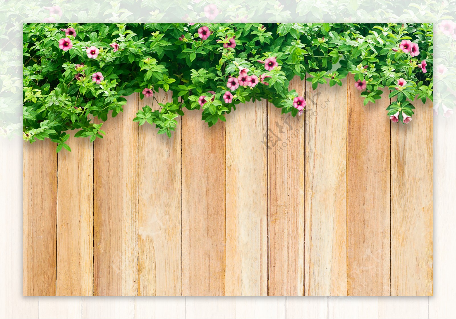 植物木板