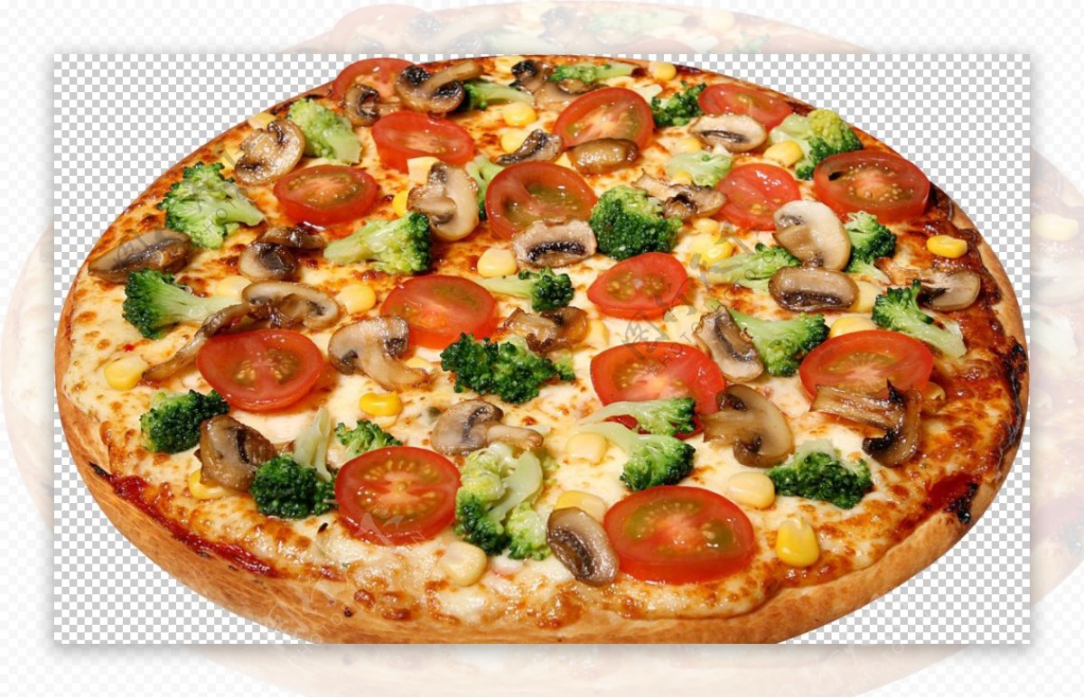 蘑菇蔬菜披萨