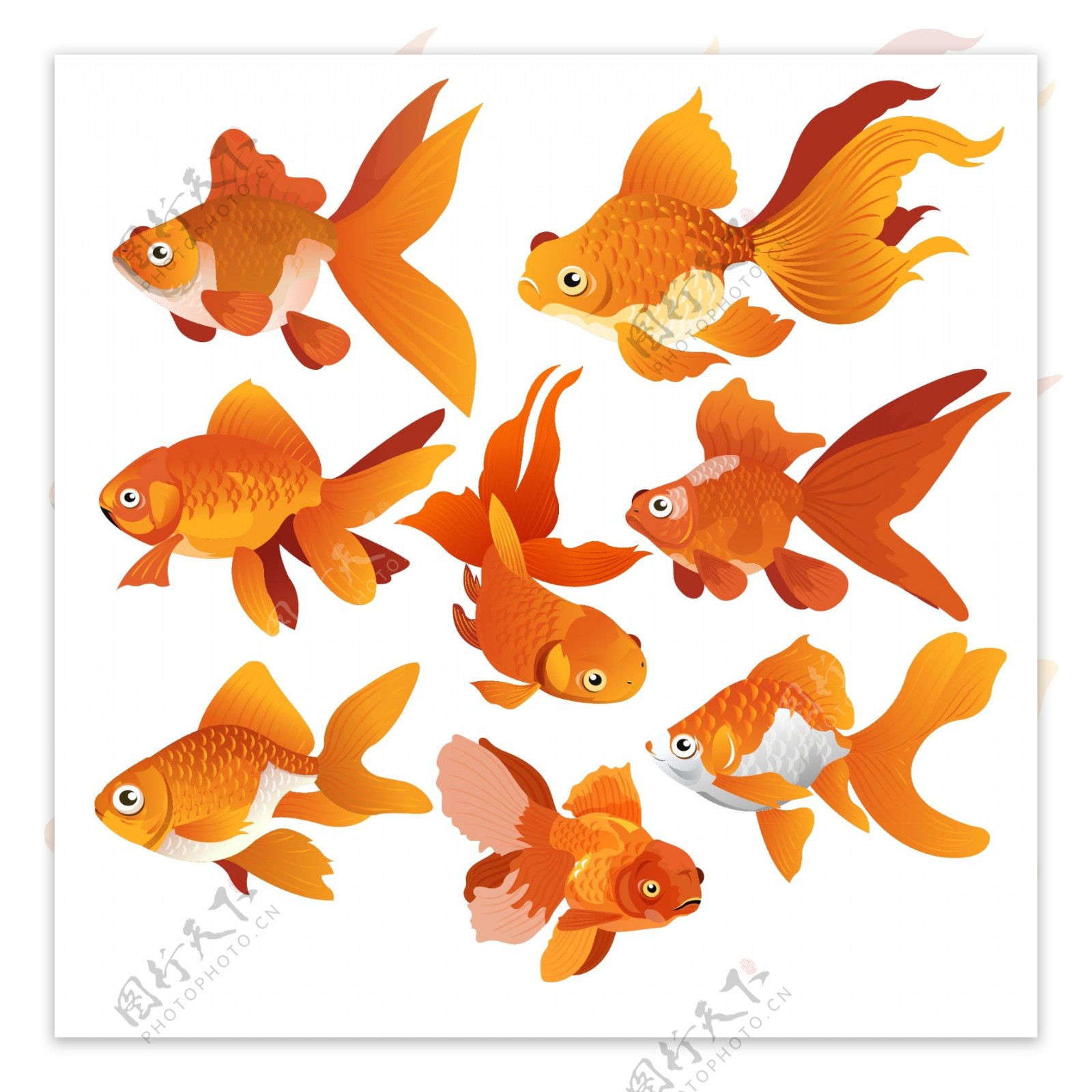8款橙色金鱼设计矢量素材
