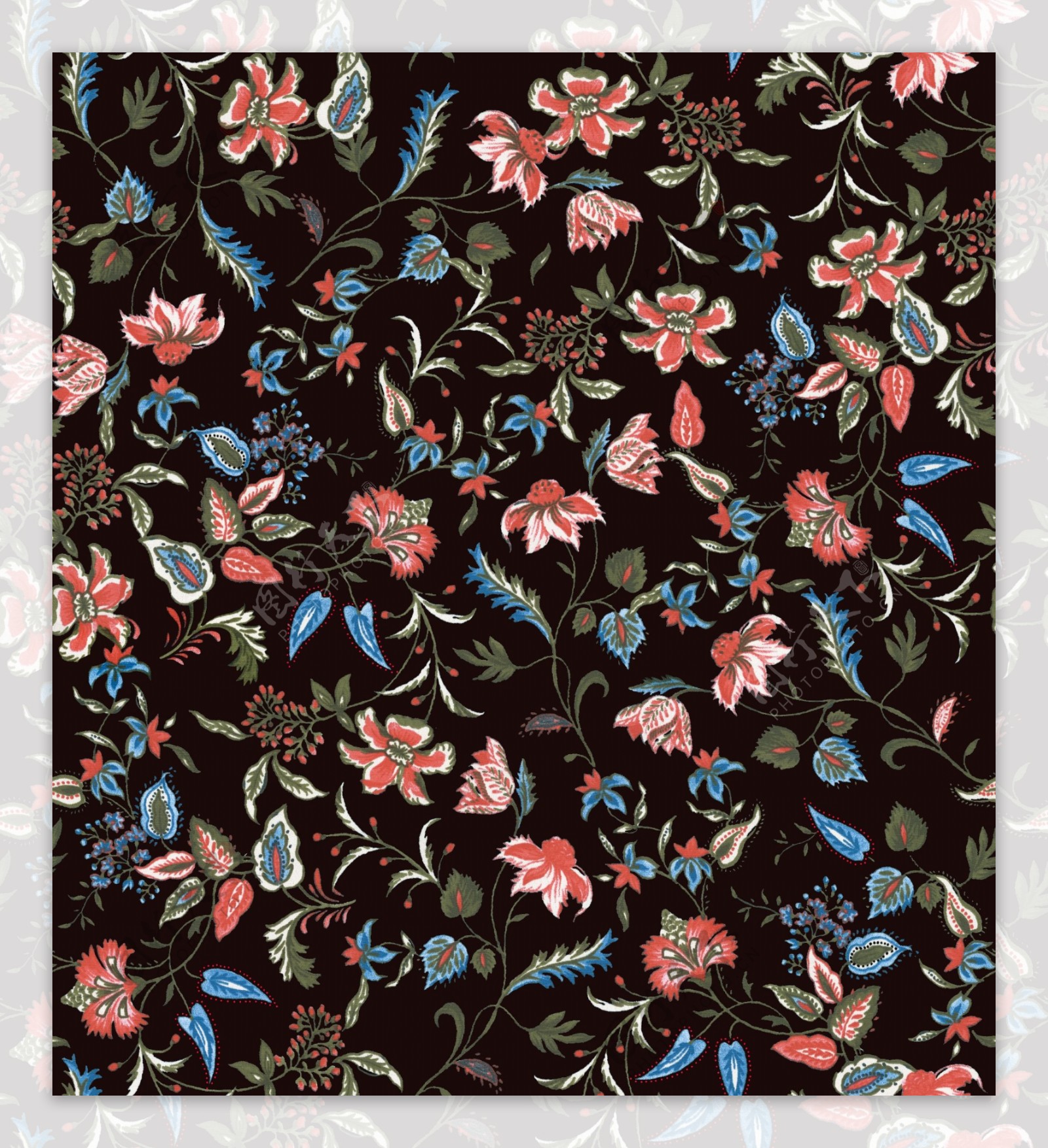 黑底花图片素材-编号37723829-图行天下
