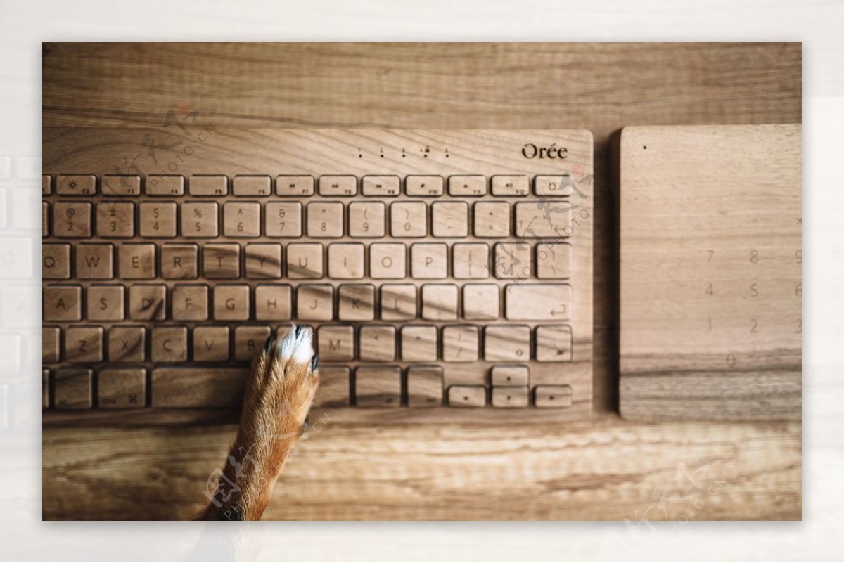 键盘电脑键盘