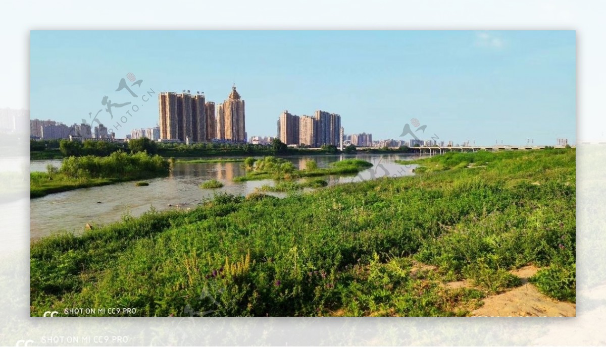 渭河绿化
