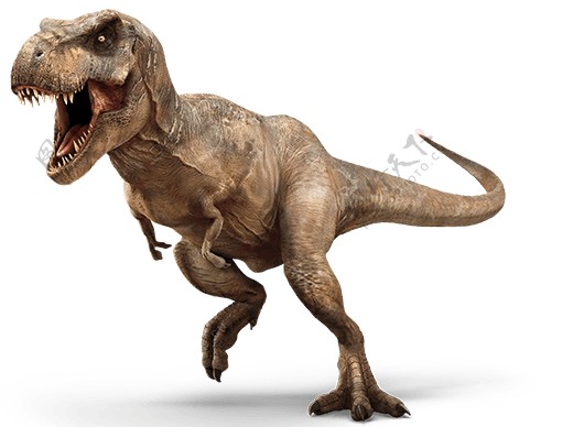 恐龙动物生物生态合成海报素材