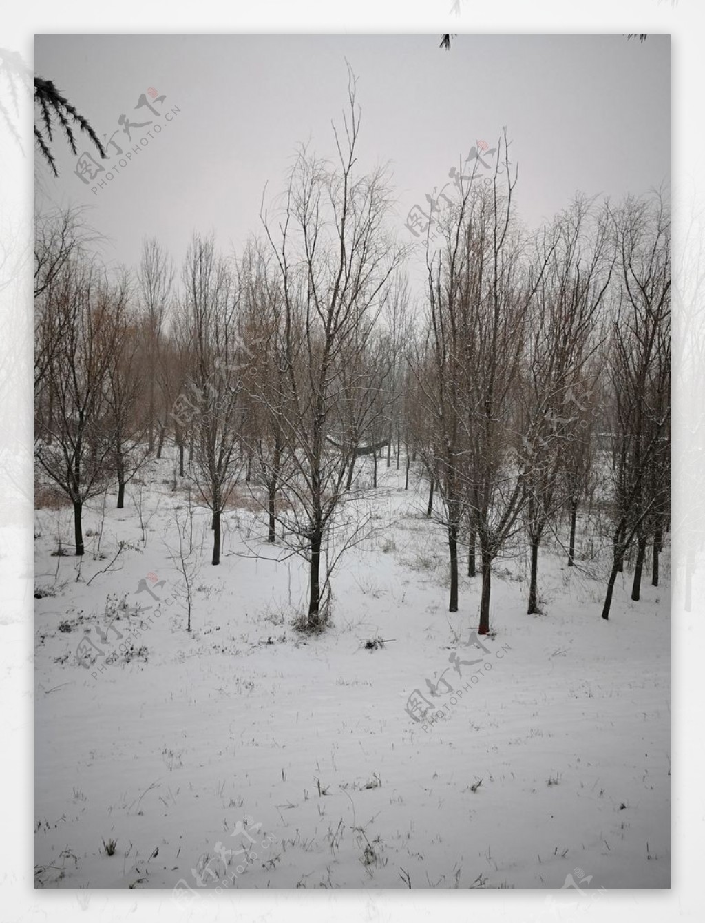 雪景照片雪景素材