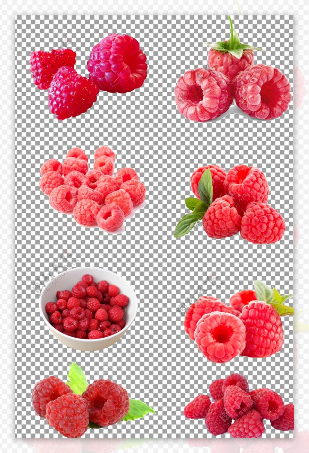 营养的树莓