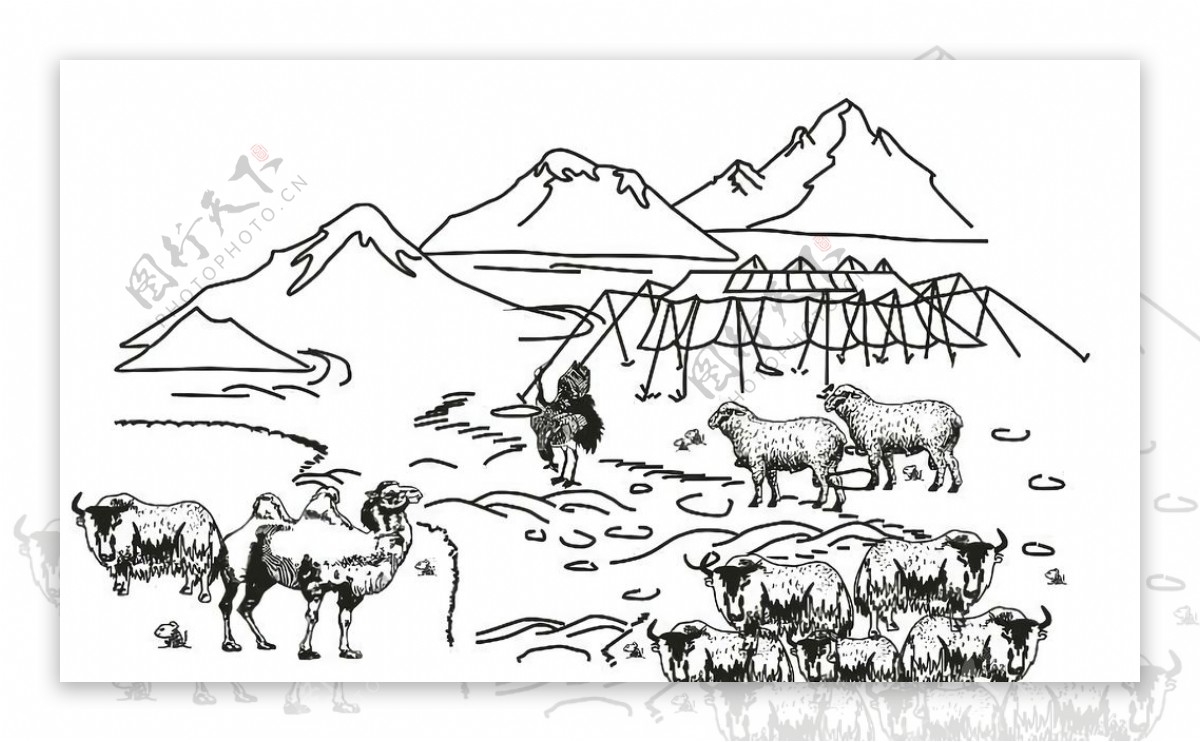 牧羊线稿图