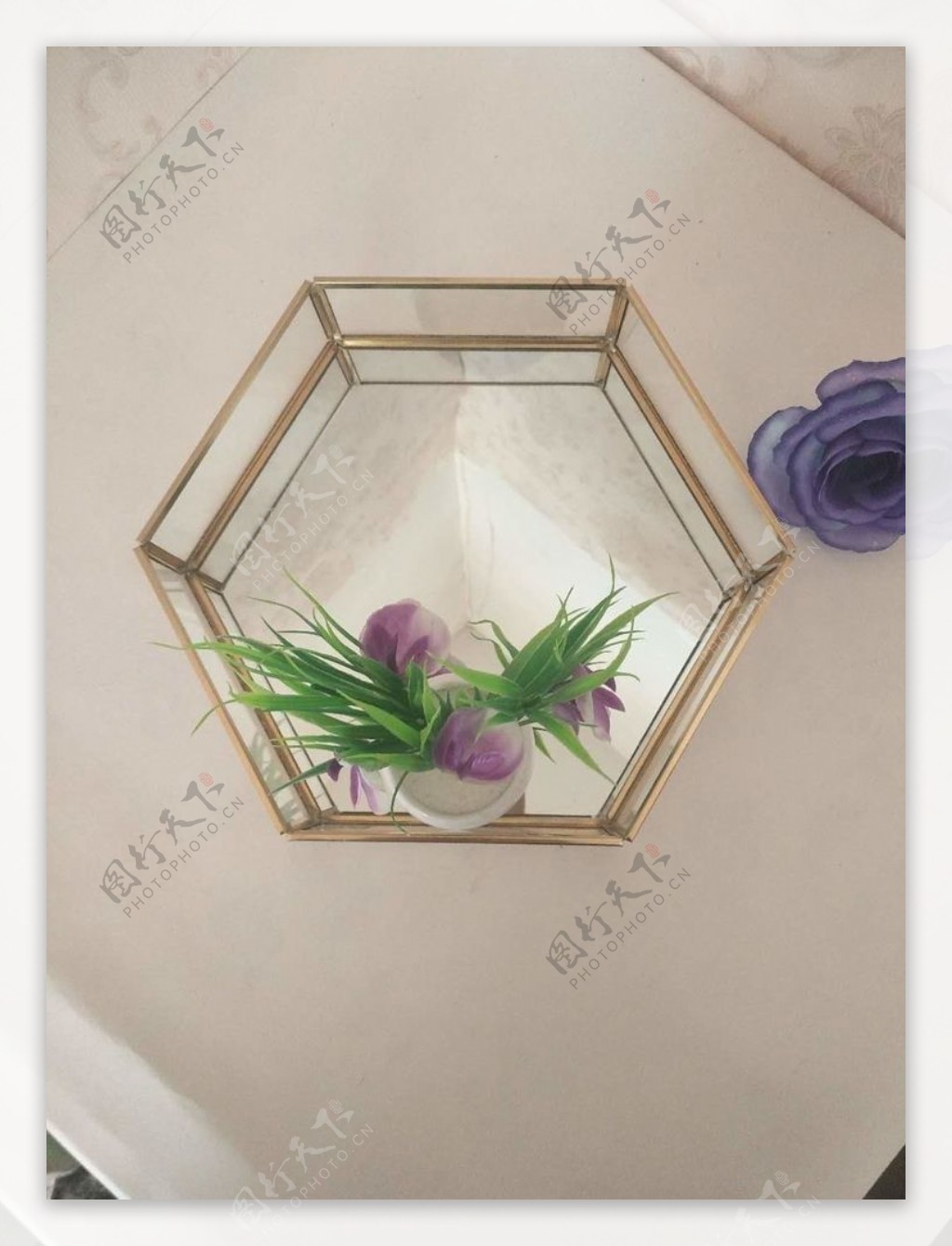 几何多边形玻璃花房摆件实拍图