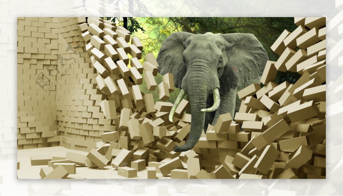 大象3D5D背景墙