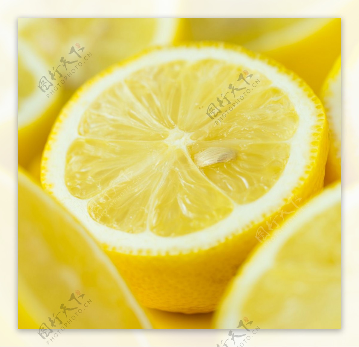 柠檬图片_的柠檬图片大全 - 花卉网