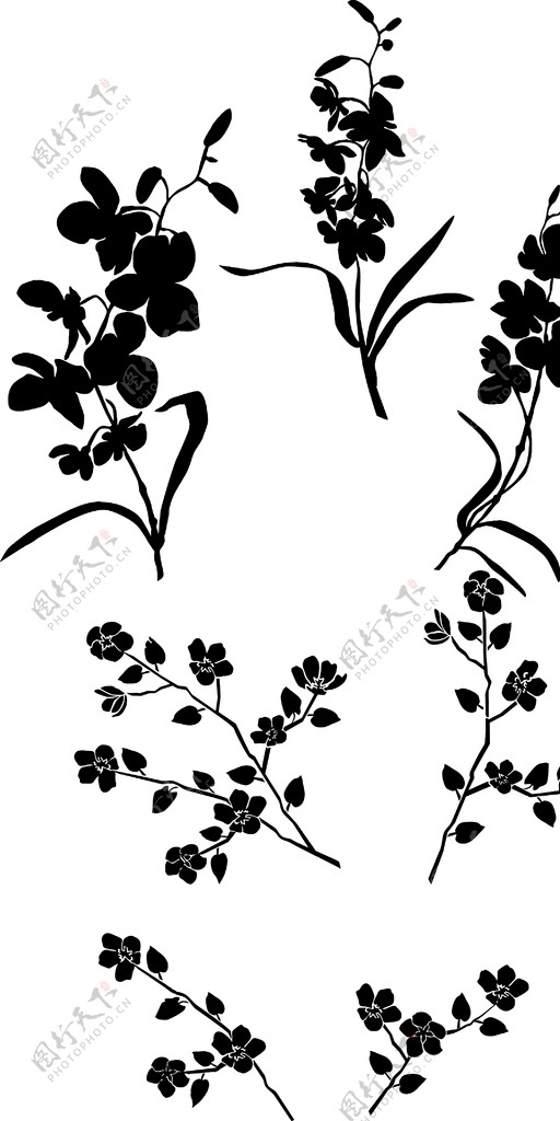花剪影叶子黑白花植物图片