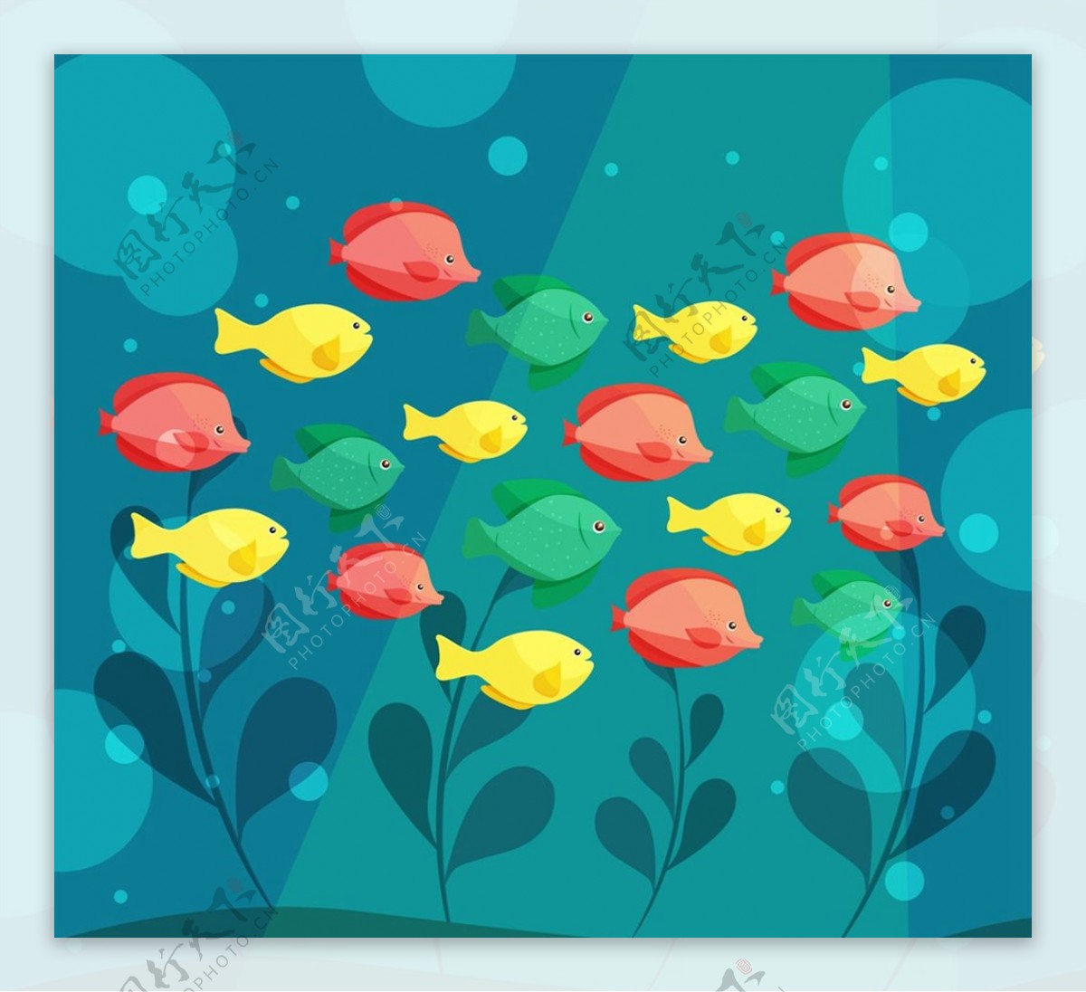 彩色海底鱼群图片