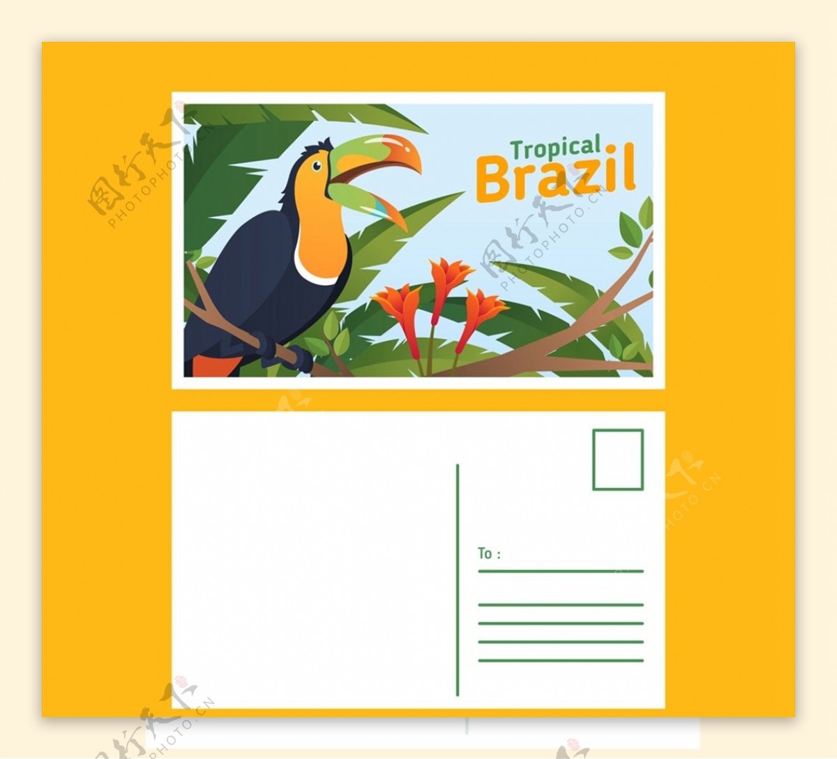 巴西巨嘴鸟明信片图片
