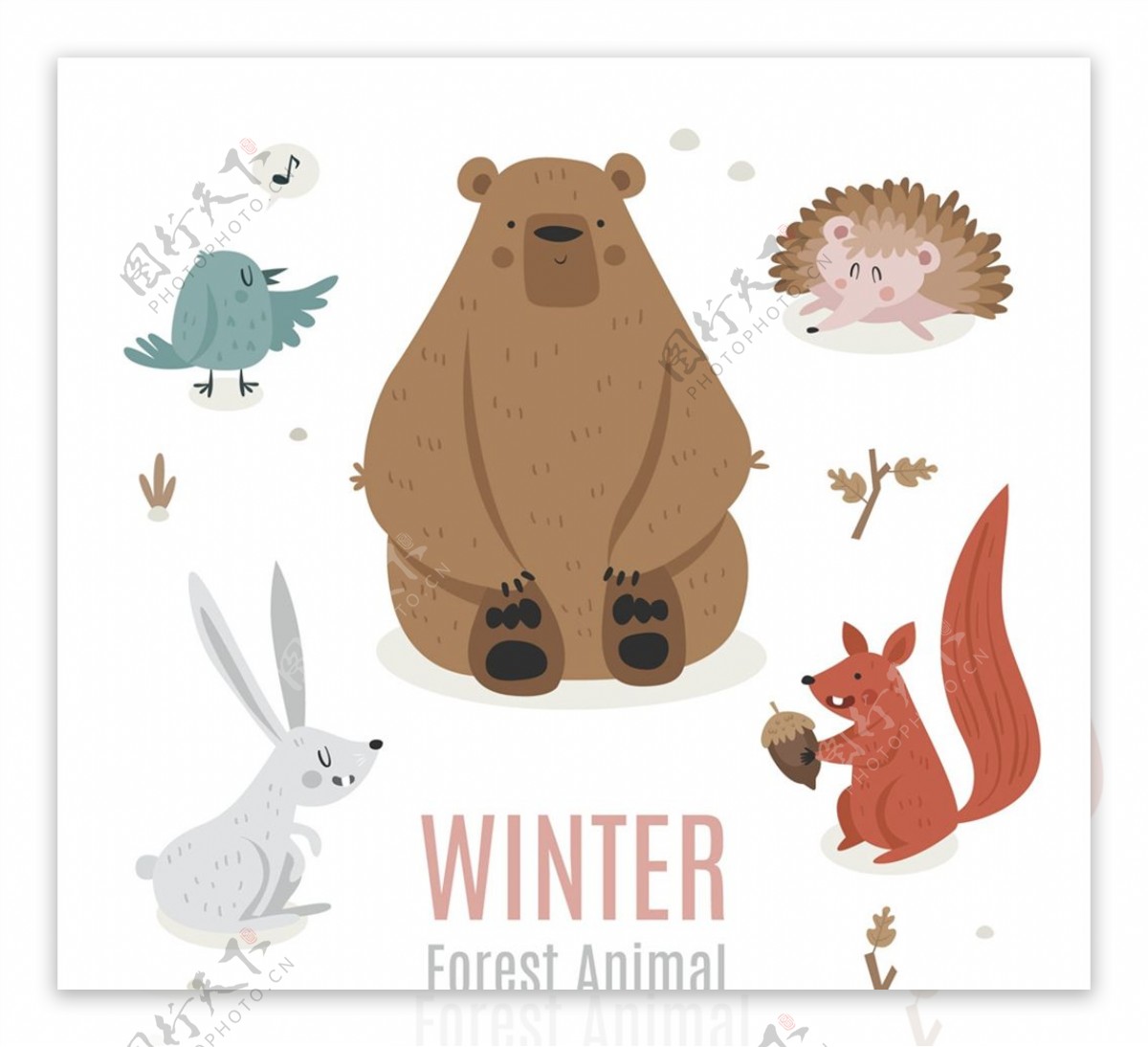 可爱冬季森林动物图片