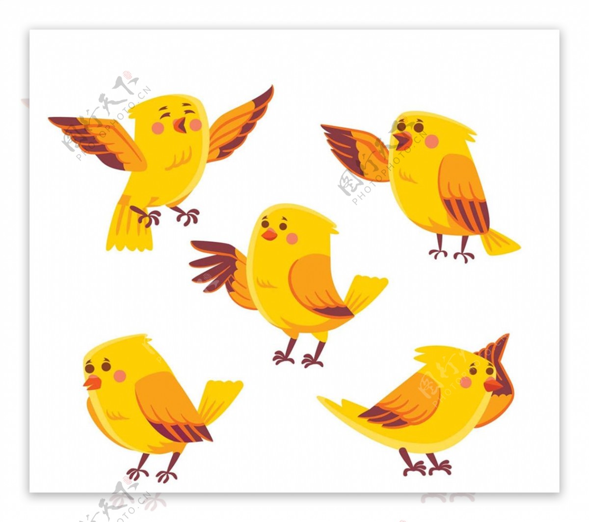 黄色鸟设计矢量图片