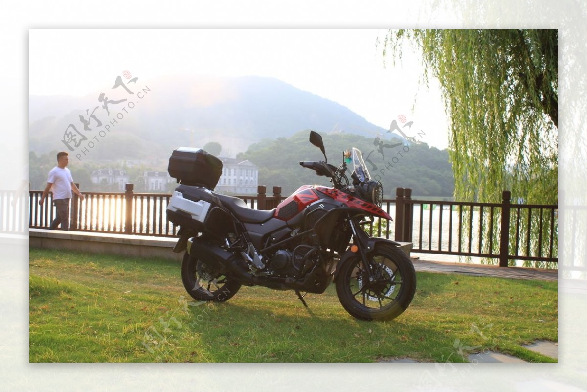 草地上的铃木摩托车图片