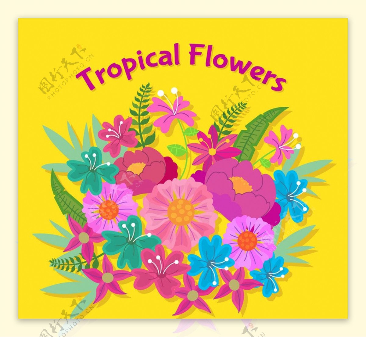 彩绘热带花卉花束图片