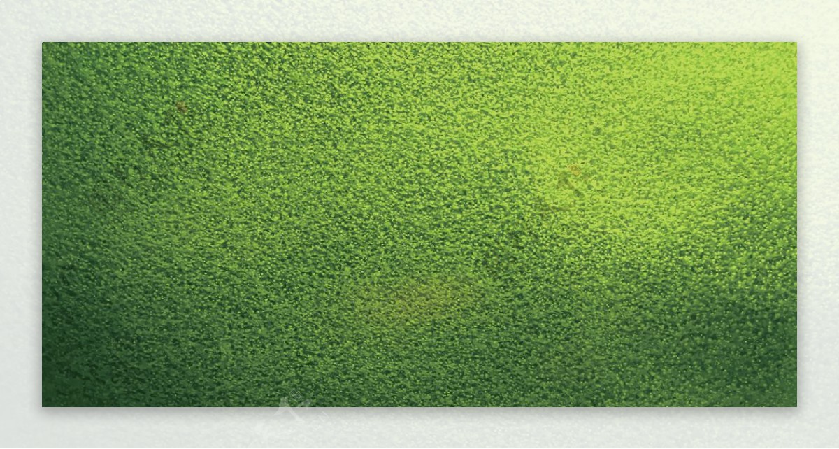绿色磨砂背景图片