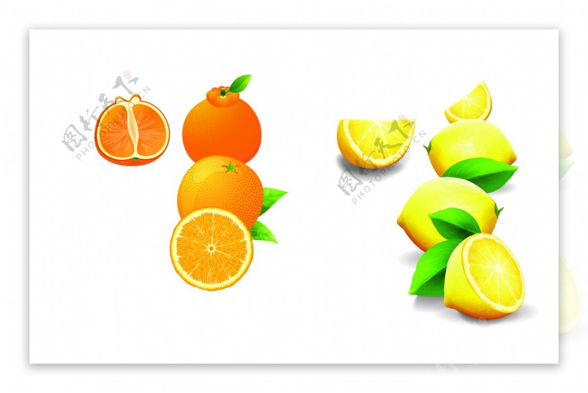 甜橙柠檬图片