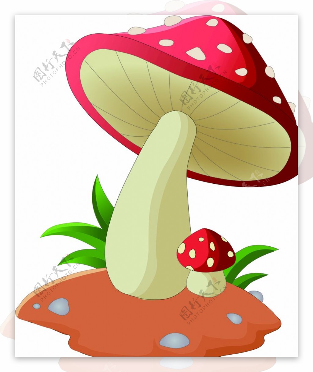 卡通蘑菇插画图片
