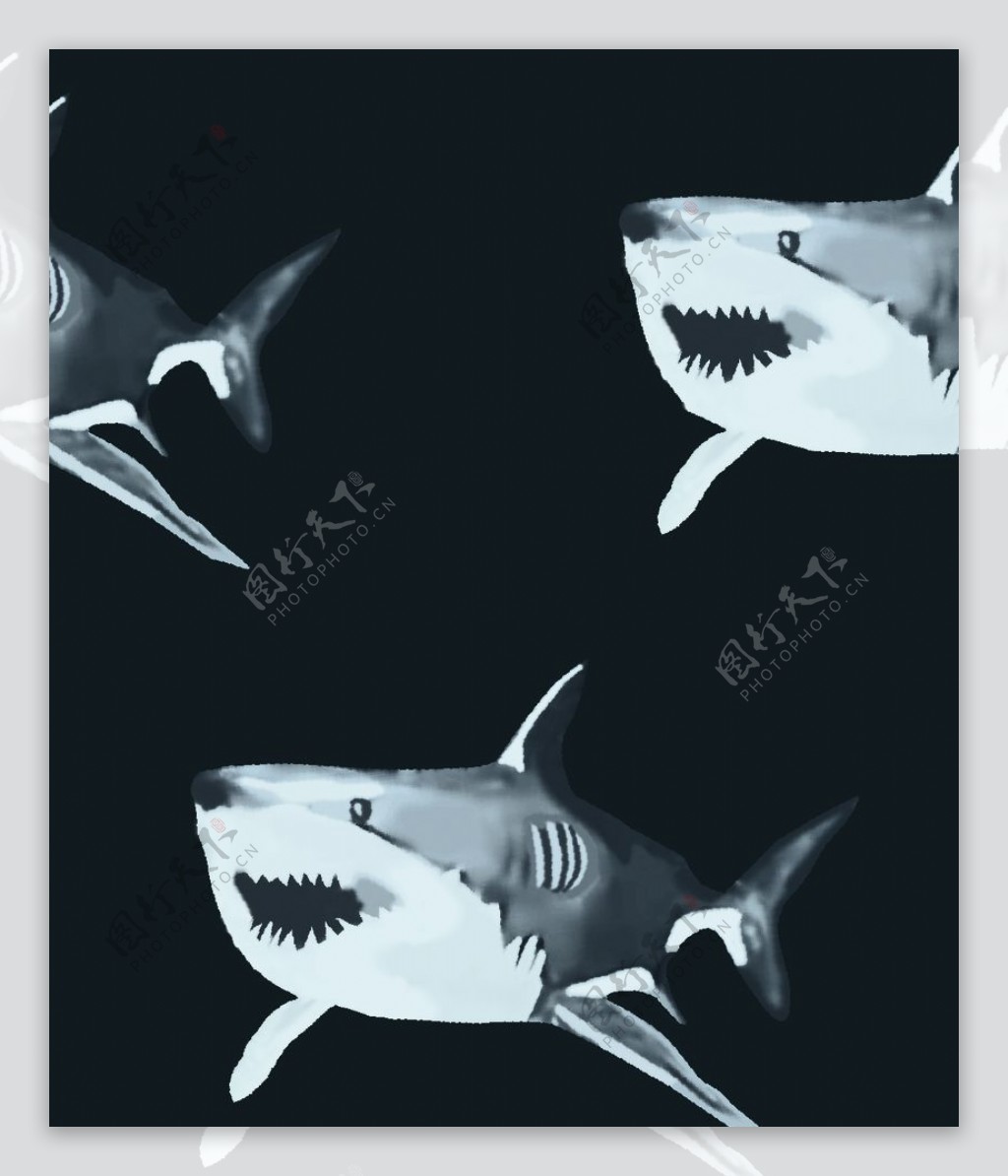 鲨鱼数码大牌虎鲨黑底图片