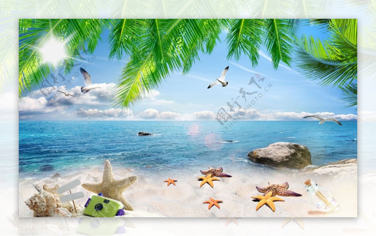 海边沙滩贝壳椰树背景墙图片