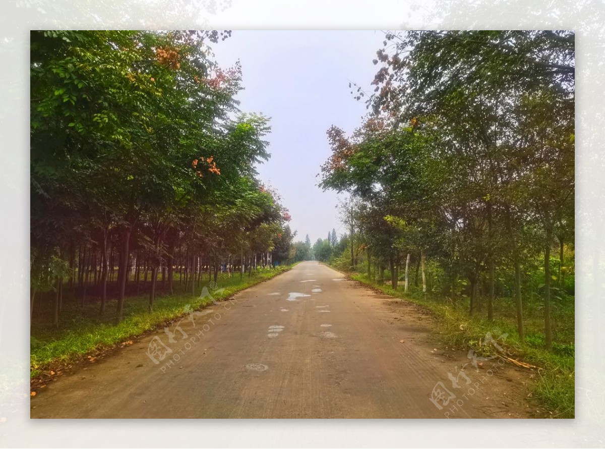 美丽的乡村道路风景图片