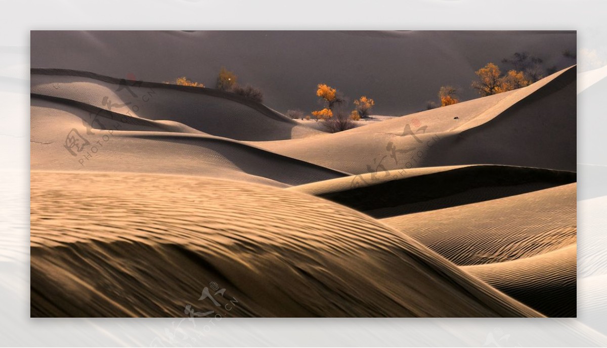 秋季沙漠景观图片