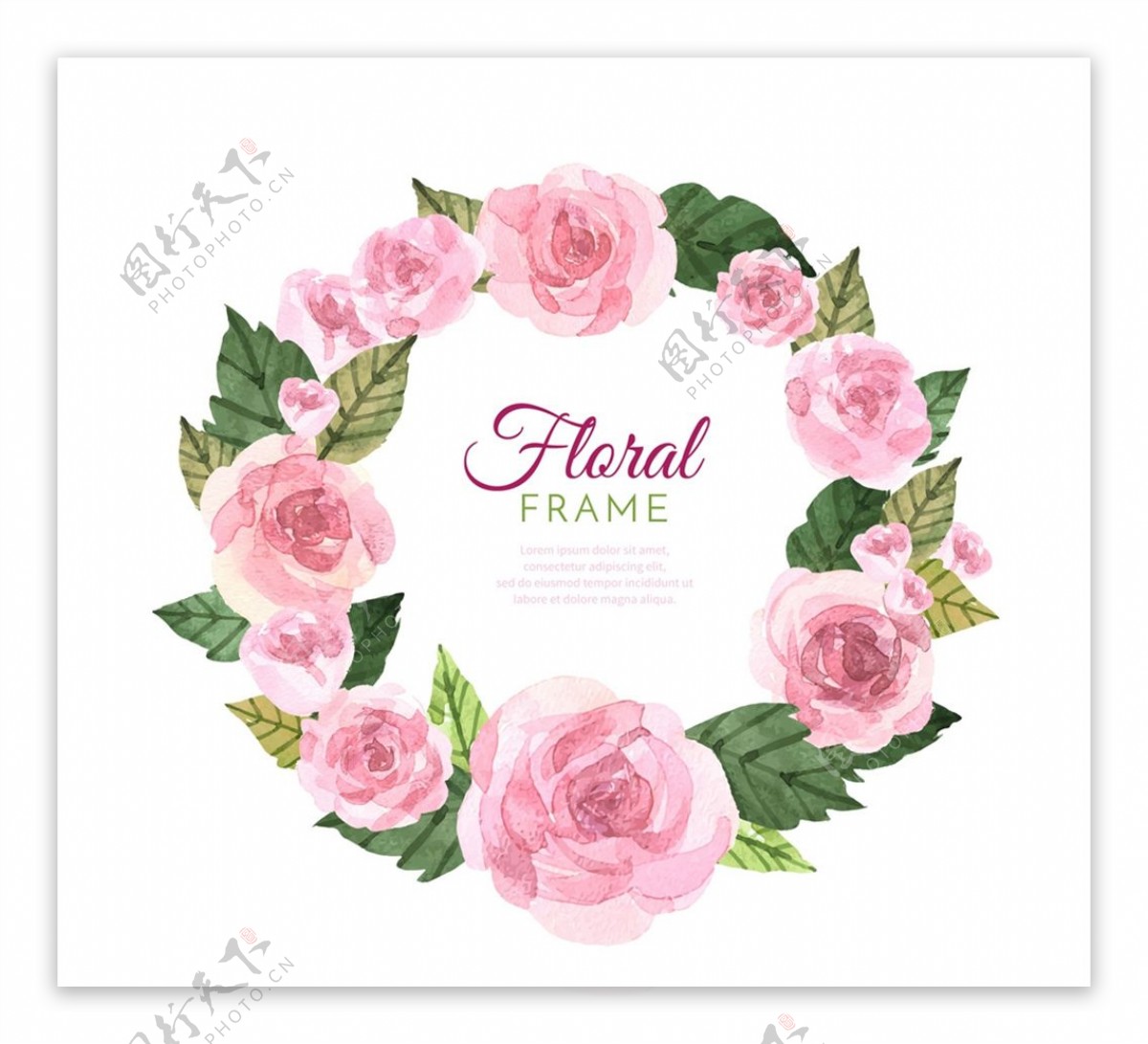 粉色玫瑰框架图片