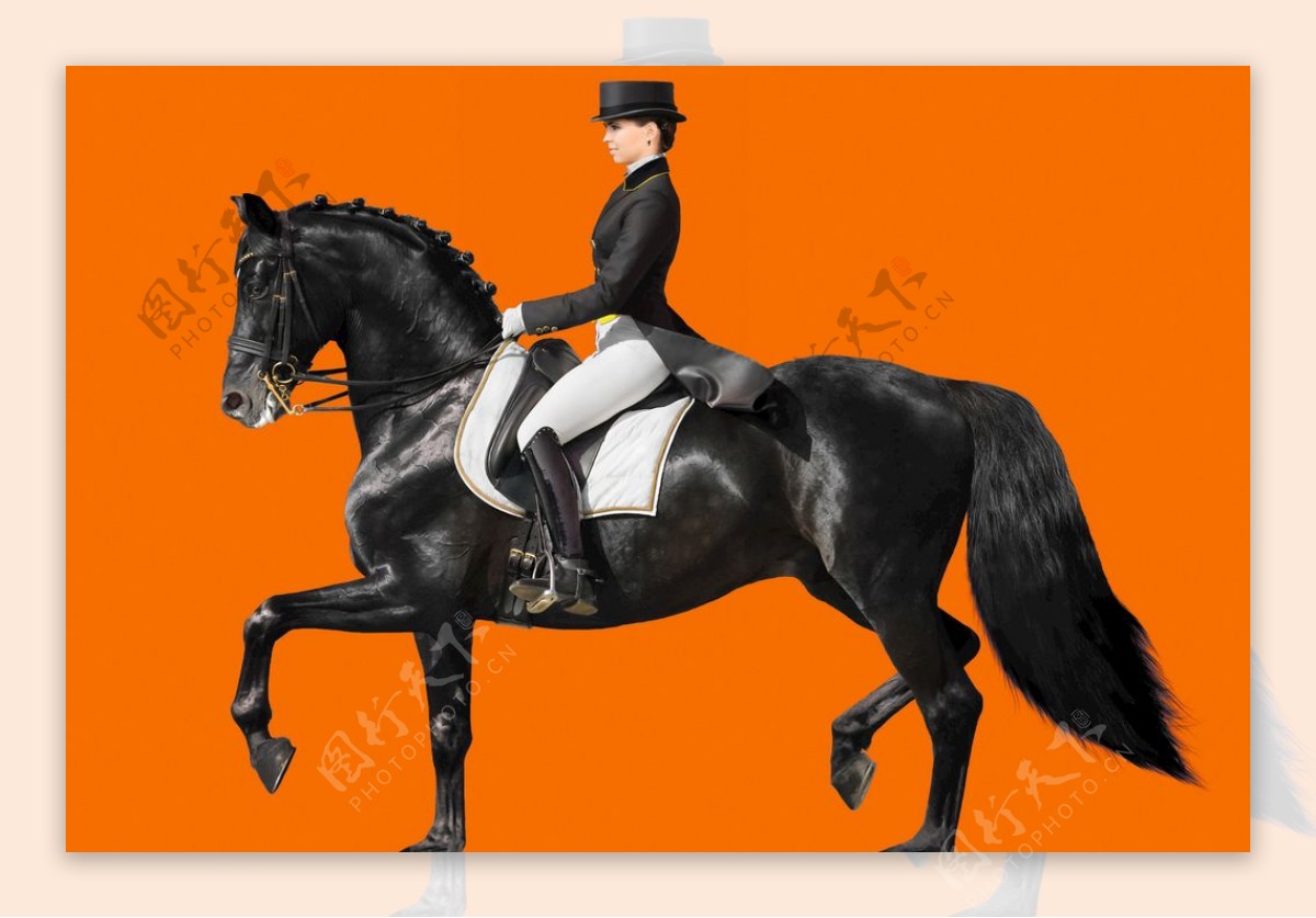 马匹 女性 骑马 - Pixabay上的免费照片 - Pixabay