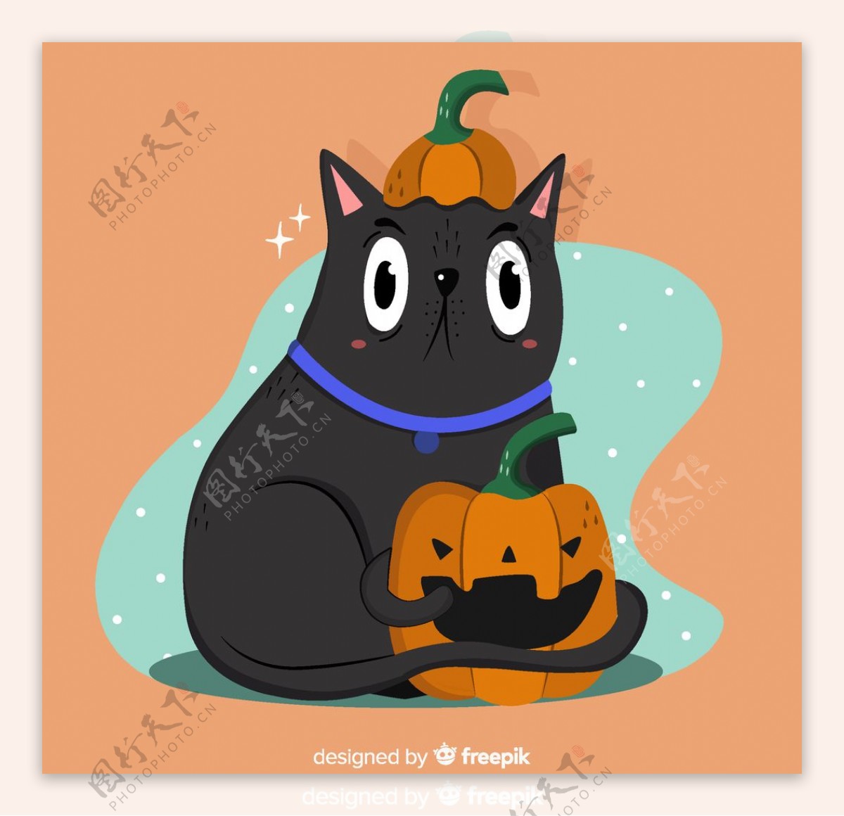 抱南瓜灯的黑猫图片