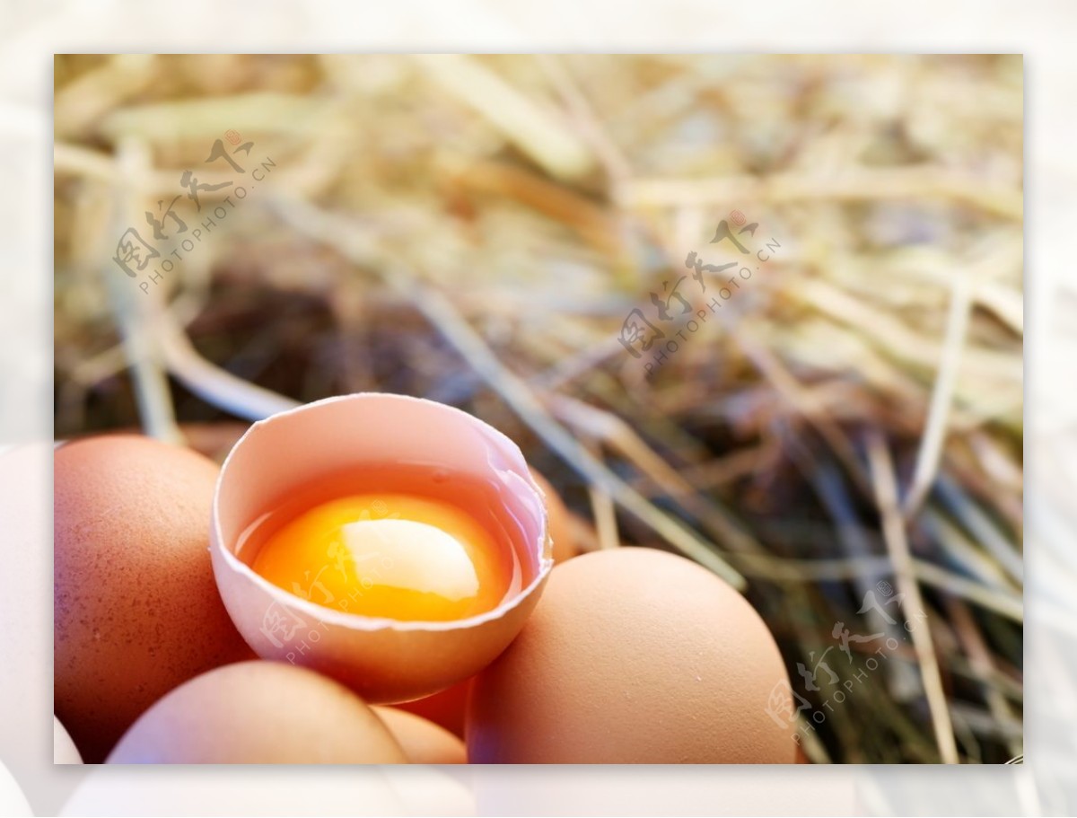 鸡蛋蛋黄配料背景海报素材图片