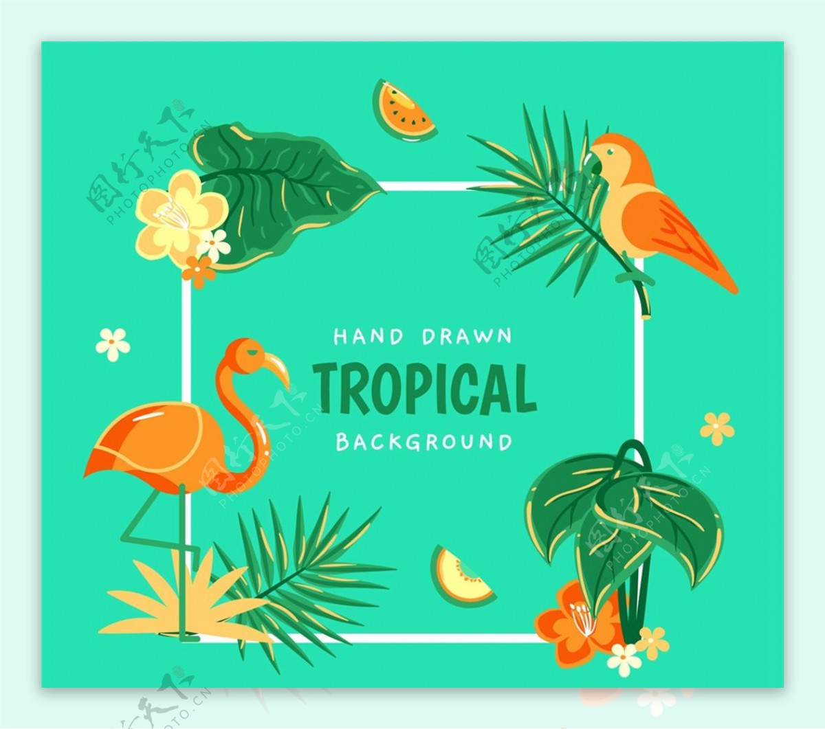 彩色热带花鸟背景图片